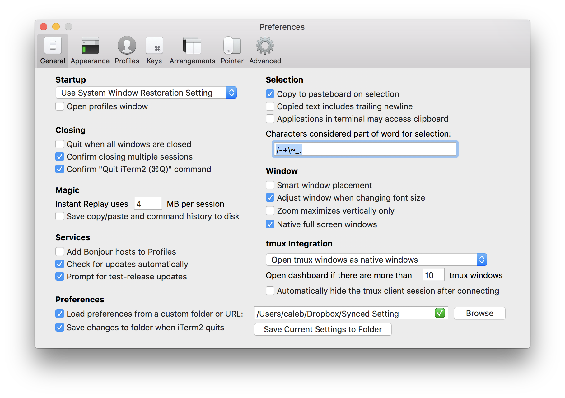 Dropbox Sync Settings